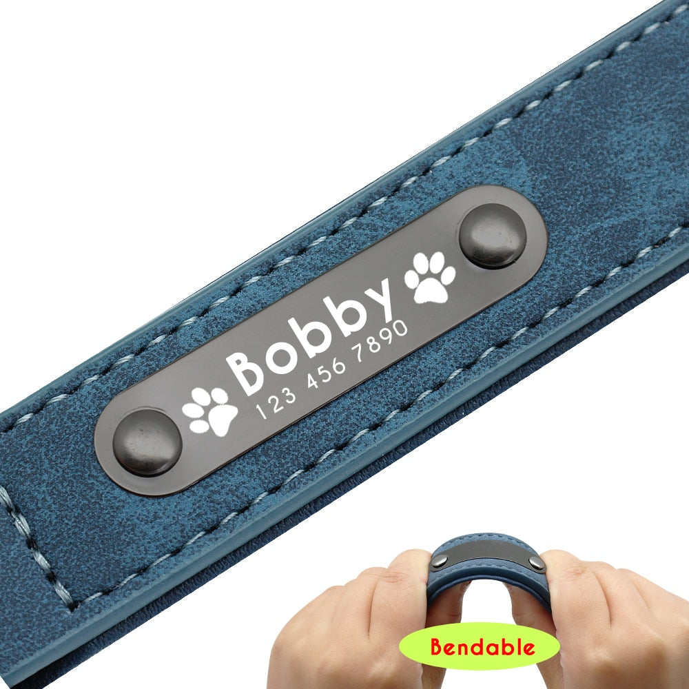 Personalized Dog Collar and Leash Leather