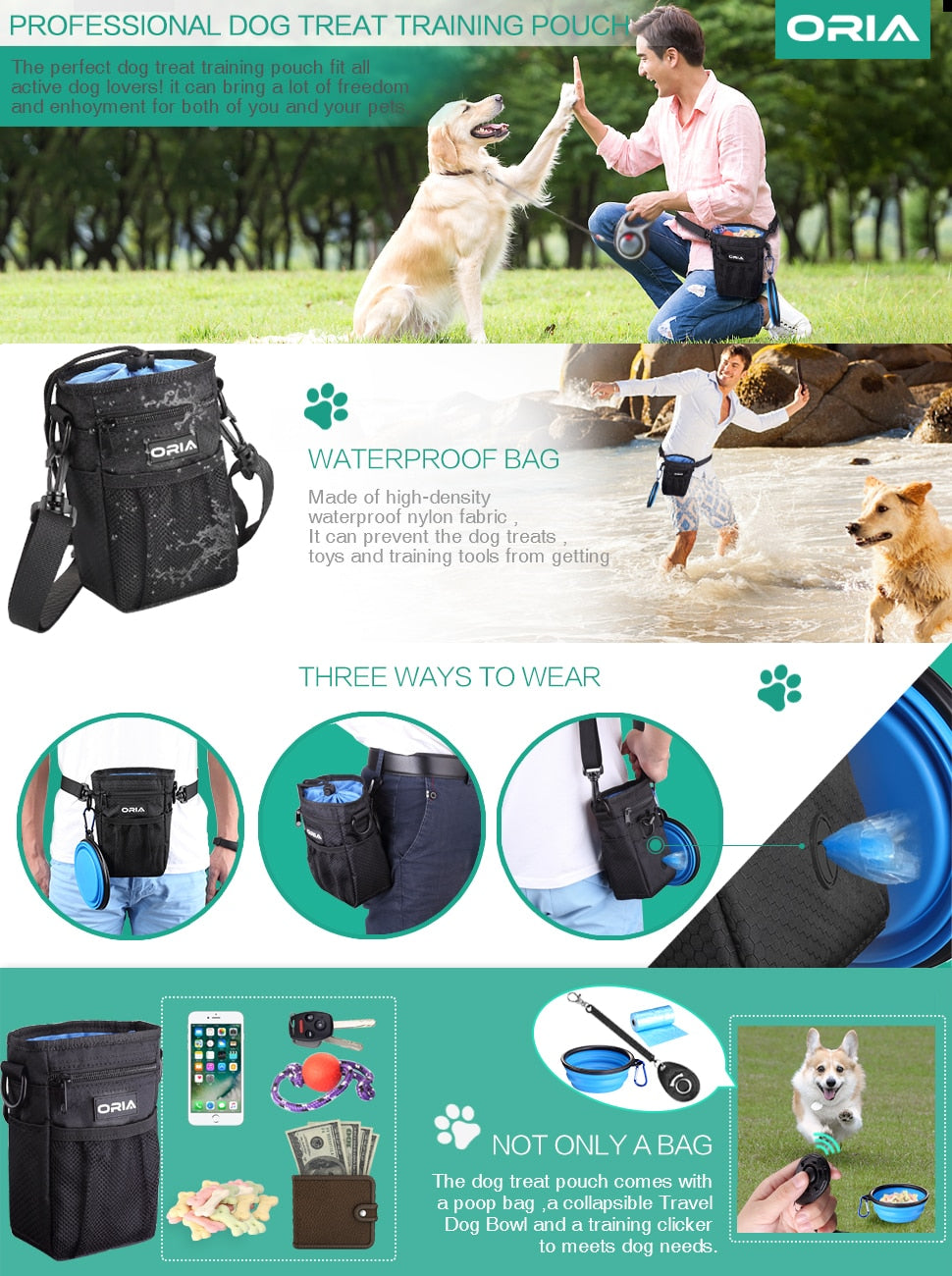 Pet Travel Bag