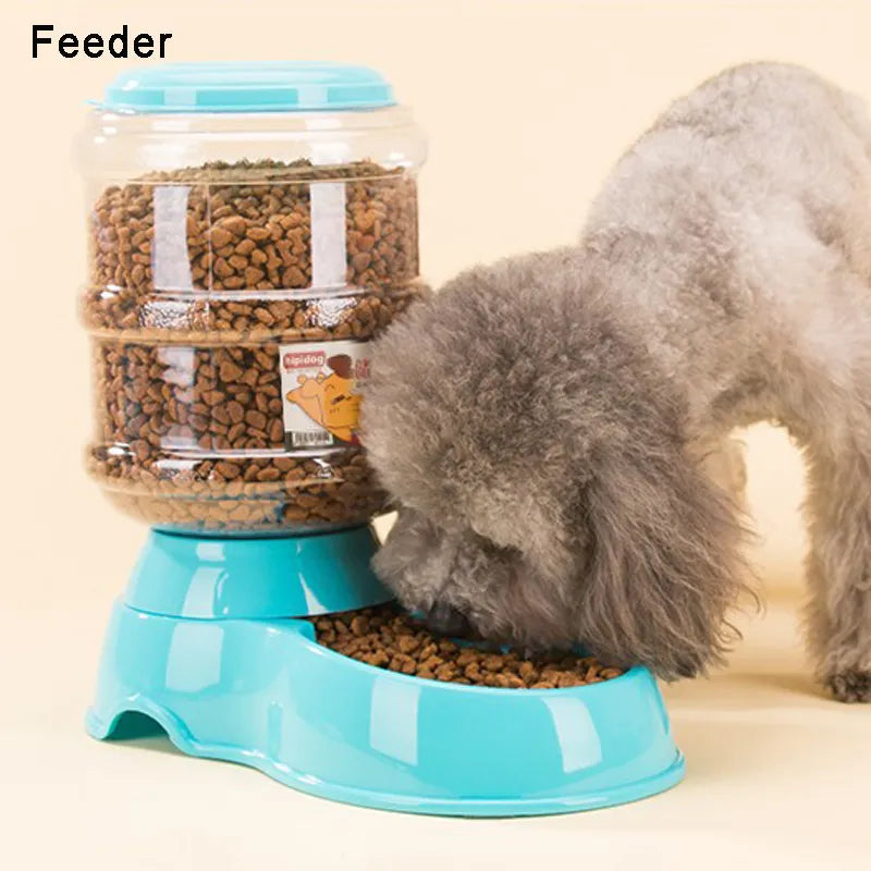 Pet Water Dispenser & Automatic Feeder