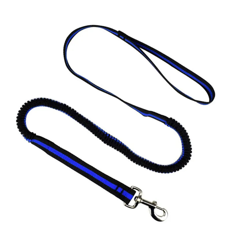 Elastic Pet Leash, Anti Dash Pull Lead