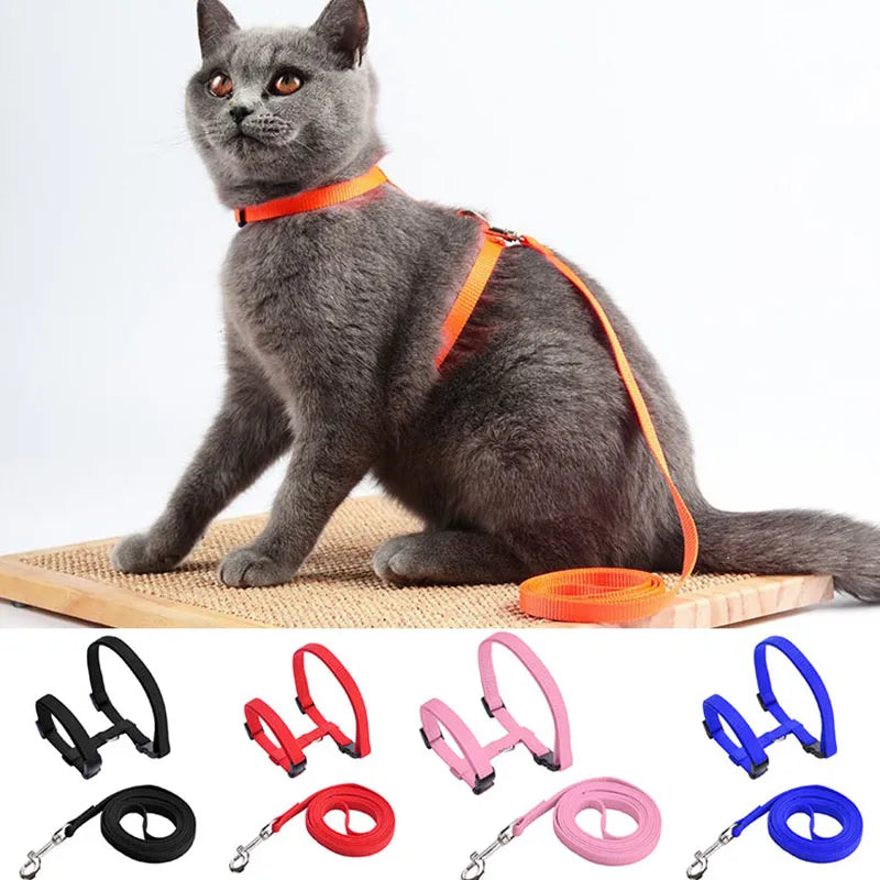 Cat or Small Dog Harness & Leash Set