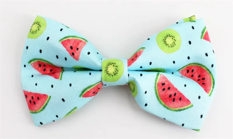 Watermelon Dog Collar Bow Tie with Metal Buckle