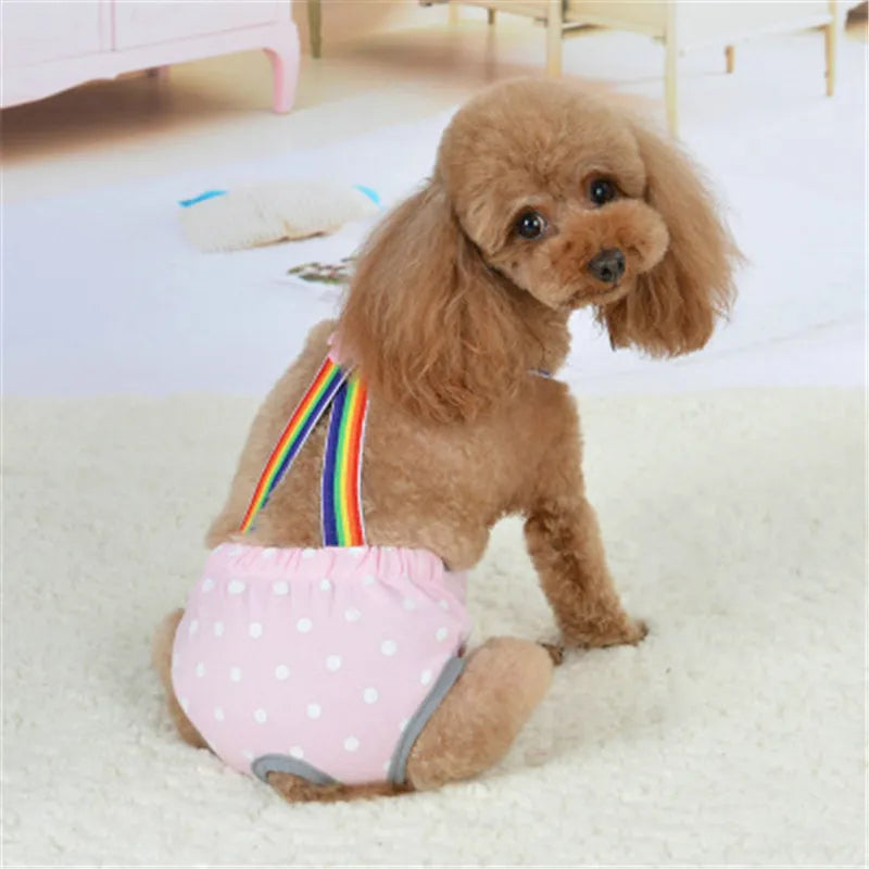 Dog Strap Pant for Dogo in Heat