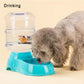 Pet Water Dispenser & Automatic Feeder