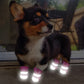 Warm Dog Reflective Anti-Slip Rain Snow Pet Boots Paw Protecters For Small Dogs