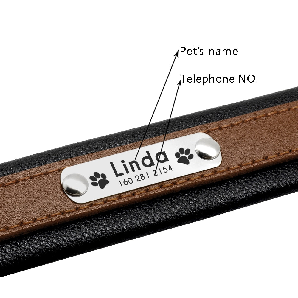 Personalized Genuine Leather Dog Collar