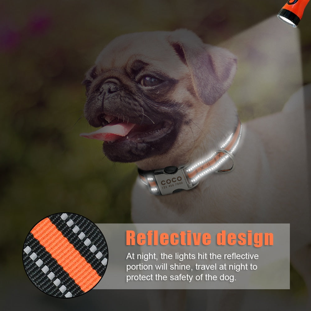 Personalized Dog Collar Reflective