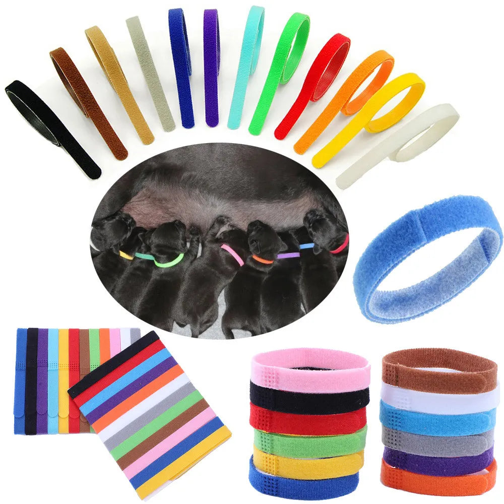 12 Colors Velvet Identification ID Collars Bands Whelp Puppy Kitten/Dog