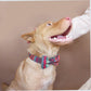 MUTTCO THE MAYA engraved pet Bow Tie Collar And Leash Set