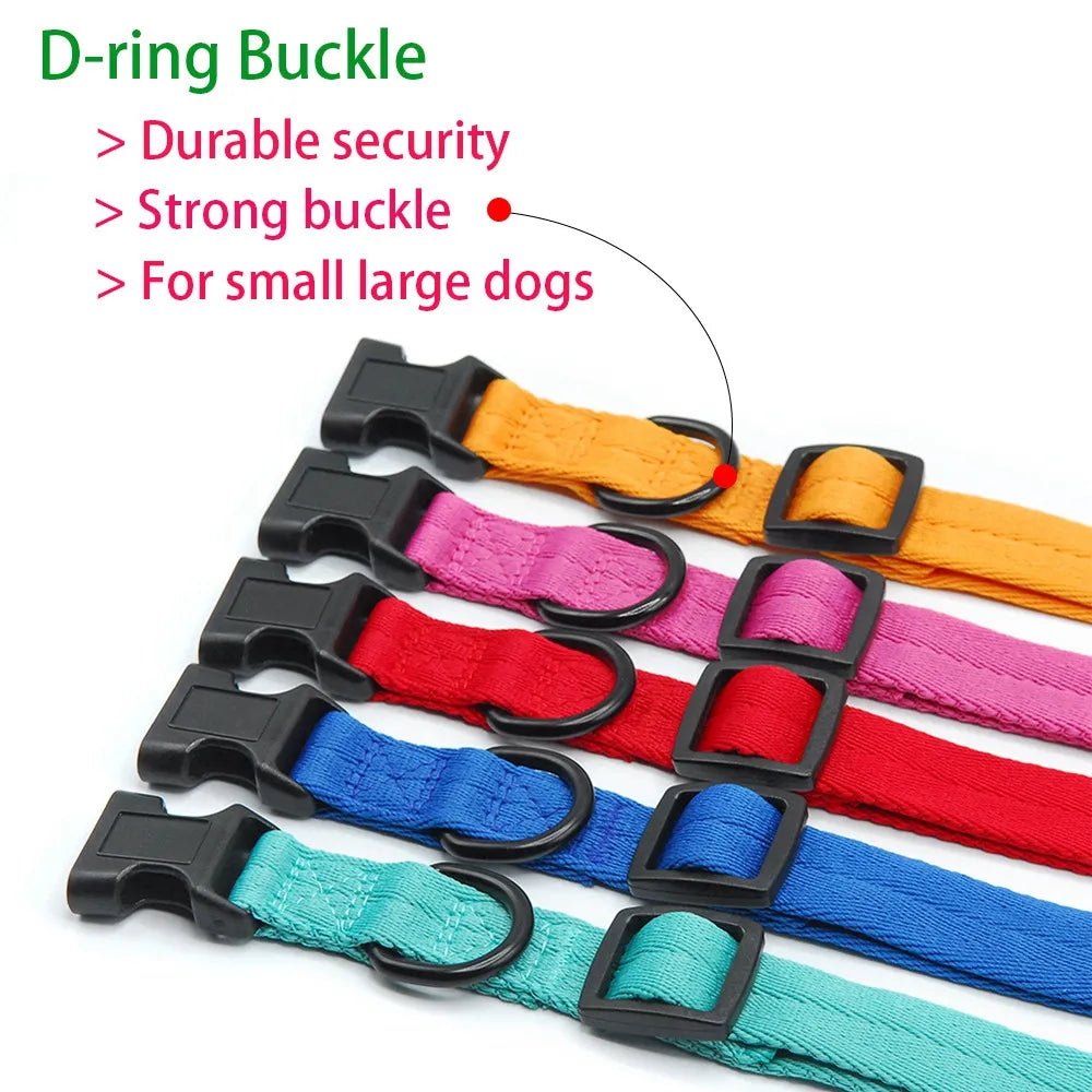 Dog Collars