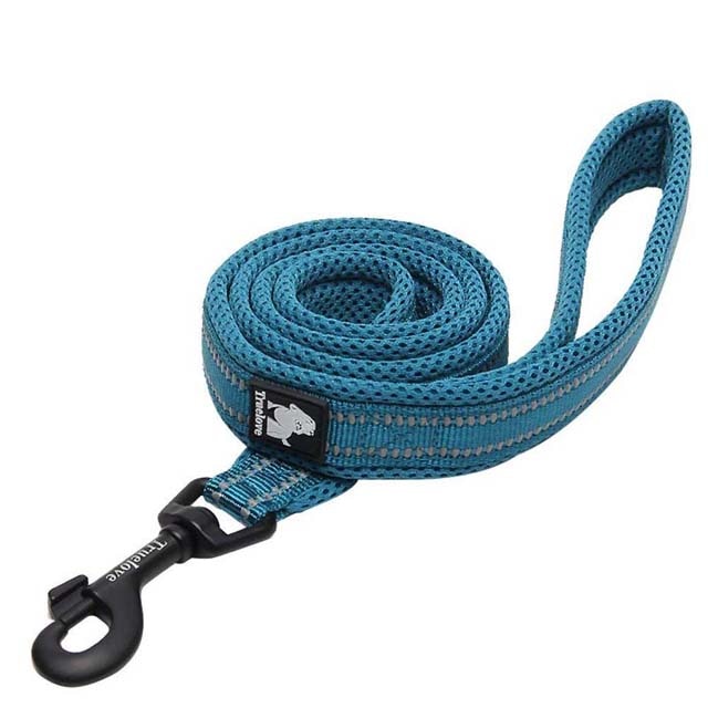 Truelove Adjustable Dog Lead Hand Free Pet Training Leash