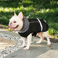 Winter Waterproof Outdoor Pet Jacket Warm Dog Coat