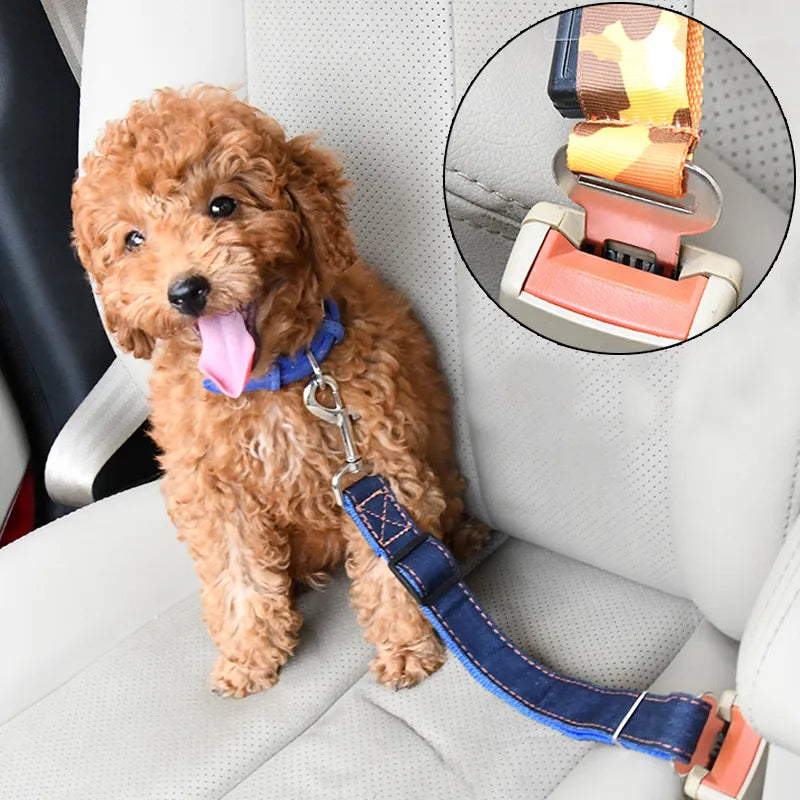 Puppy Dog Car Seat Belts