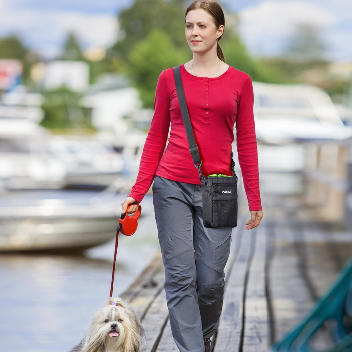 Pet Travel Bag