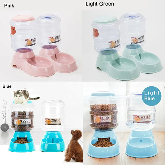 Pet Water Dispenser & Automatic Feeder