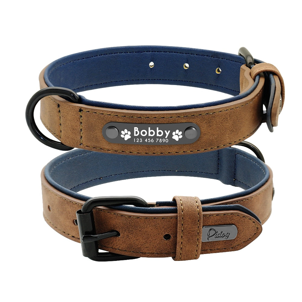 Personalized Dog Collar and Leash Leather