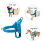 No Pull Reflective Dog Harness Nylon