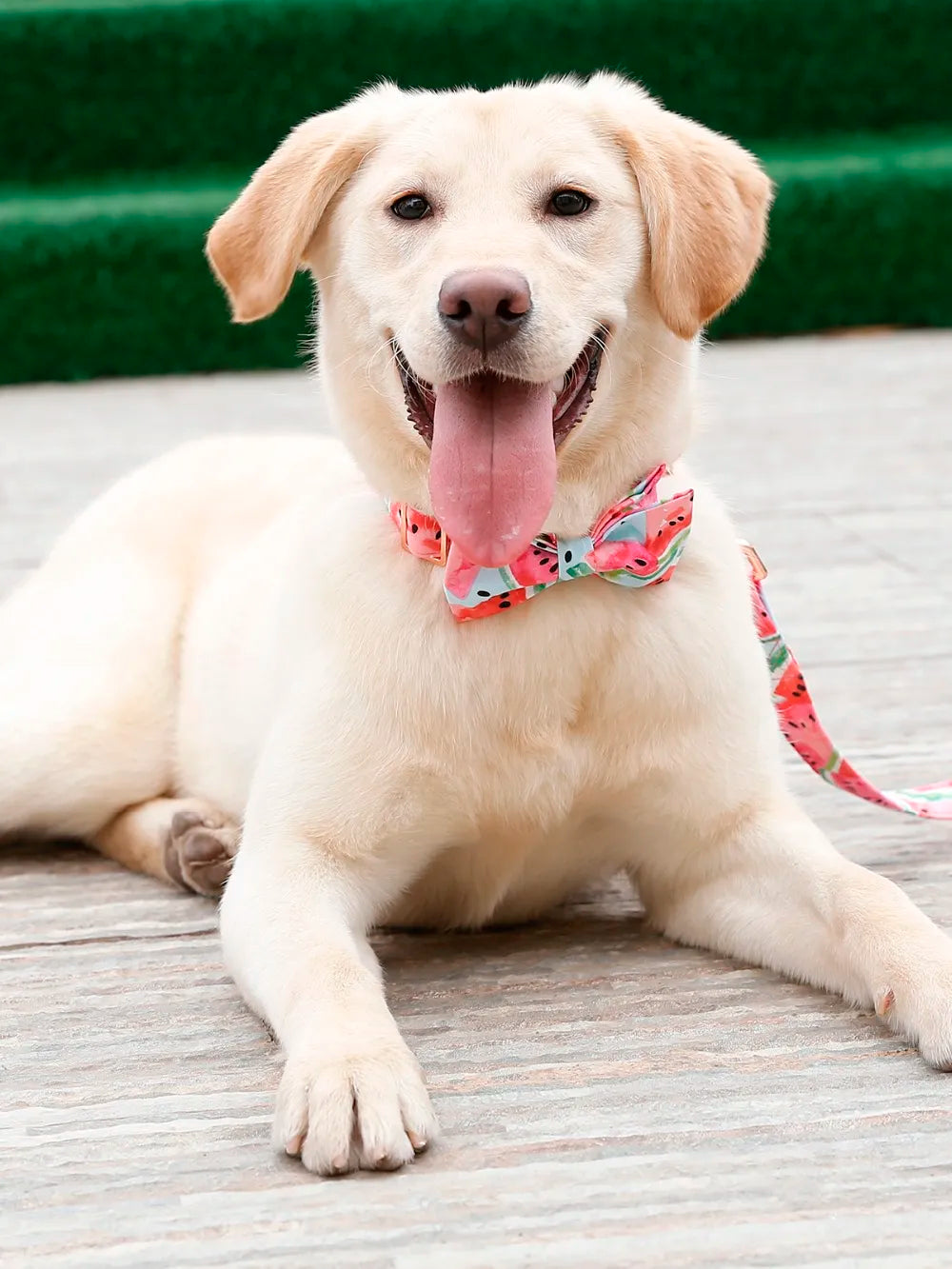 Cute Pink Dog Collar or Leash Set with Bow Tie for Big and Small Dog Cotton Fabric Collar Rose Gold Metal  Buckle  Pet Products