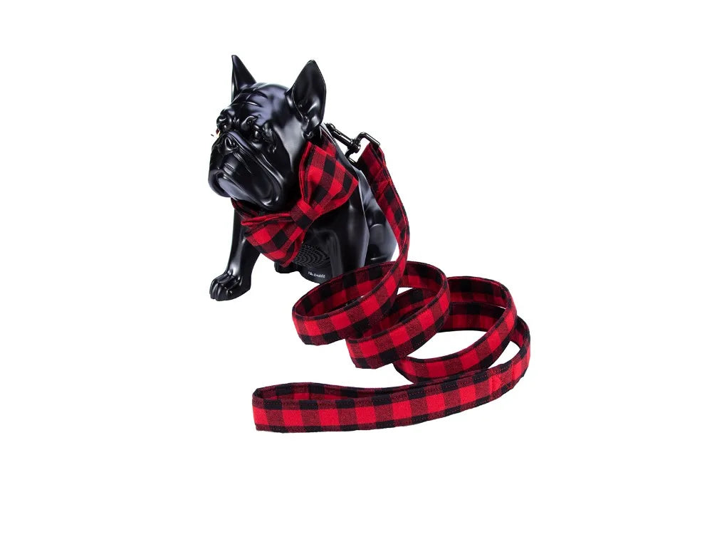 Unique Style Paws Christmas Plaid  Dog Collar And Leash Set Gift for