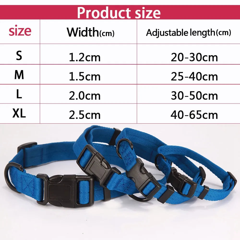 Dog Collars