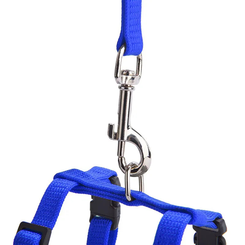 Cat or Small Dog Harness & Leash Set