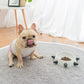 Cool Rivet Beveled Pet Food or Water Bowel