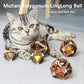 Catnip Ball Cat Toys