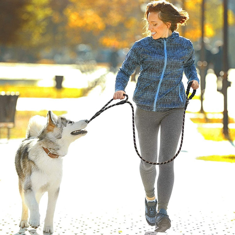 Heavy Duty Dog Leash