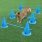 3set Dog Training Durable Running Stakes for Dogs: Pet Agility Equipment