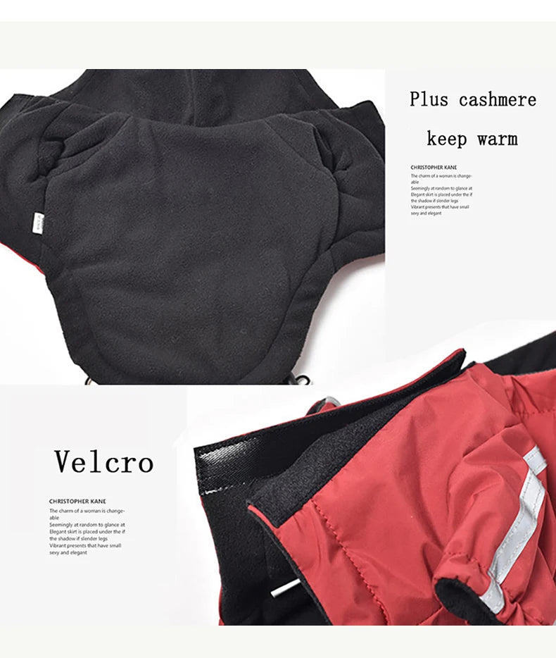 Winter Waterproof Jacket for Small and Large Dogs