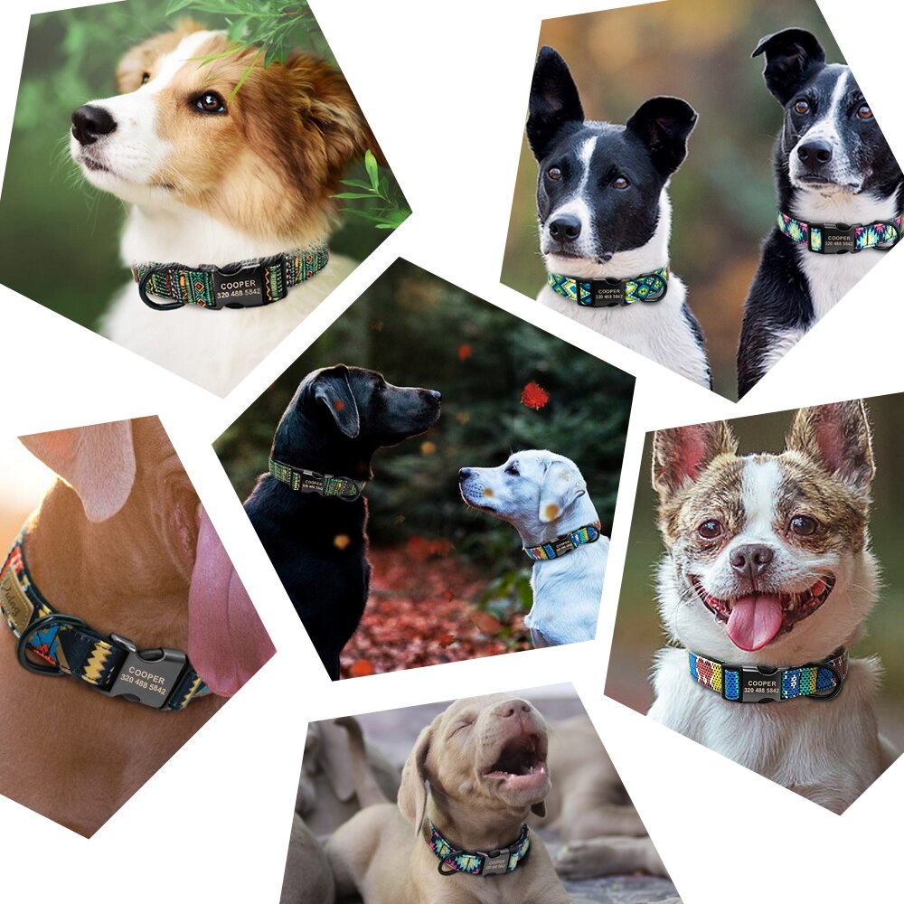 Personalized Dog Collar Leash Custom Puppy Pet Collar Pitbull Collars Pet Product Small Dog Collar for Small Medium Large Dog