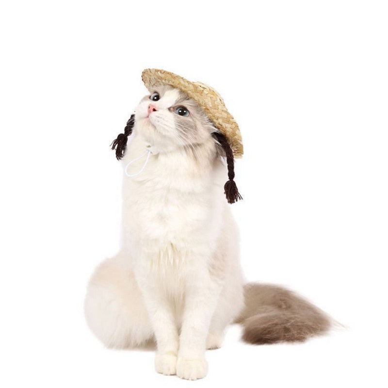 Fashion Pet Woven Straw Hat