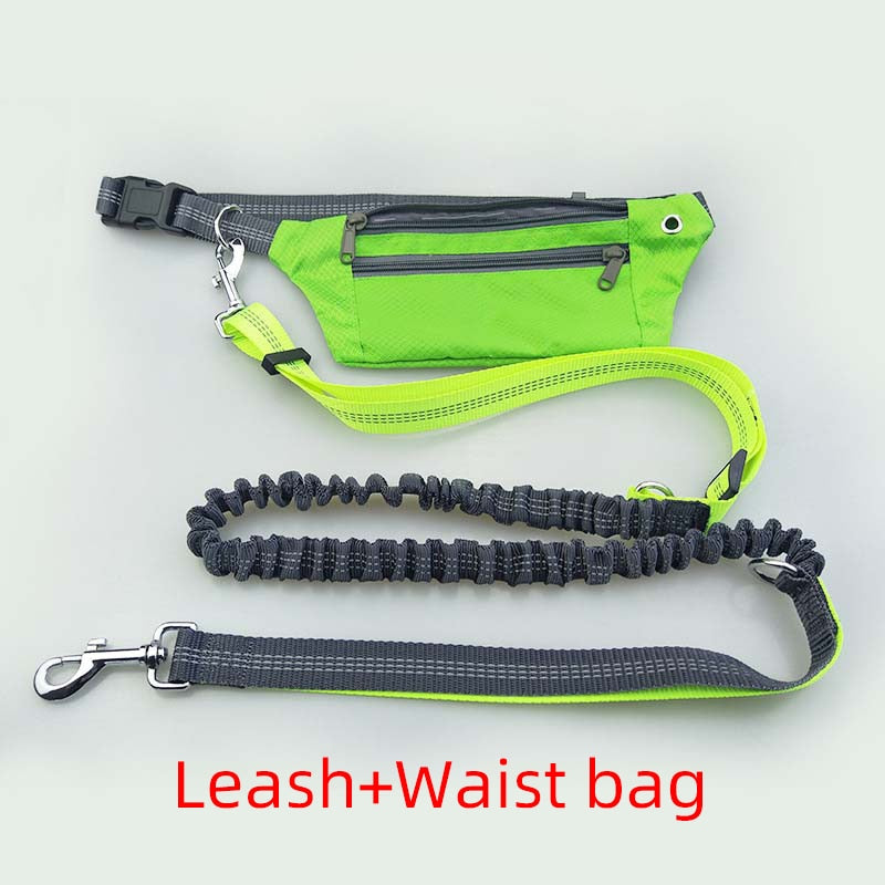 Elastic Hands-Free Dog Leash & Caring Pouch