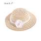 Fashion Pet Woven Straw Hat