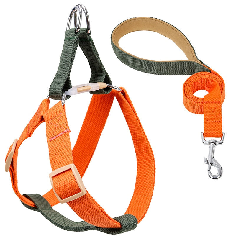 Dog Harness And Leash Nylon Leashs