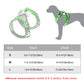 Fashion Reflective Bling Dog Harness