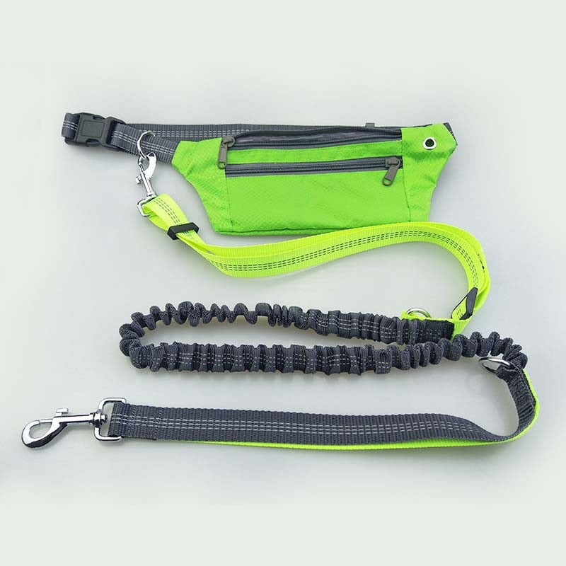 Elastic Hands-Free Dog Leash & Caring Pouch