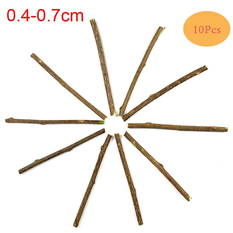 Cat Toy Catnip Sticks for Cleaning Tooth