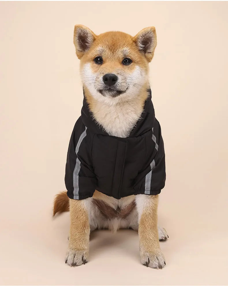 Winter Waterproof Jacket for Small and Large Dogs