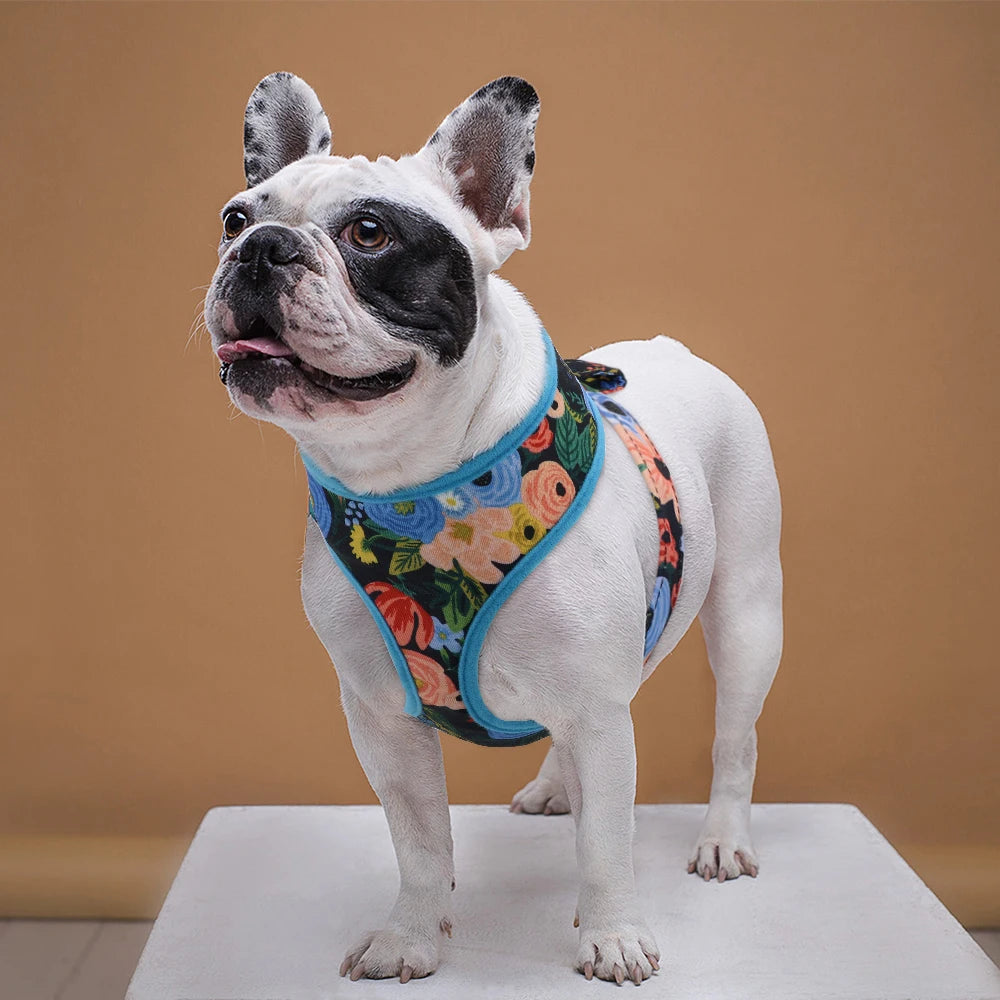 Cute Printed Pet Harness