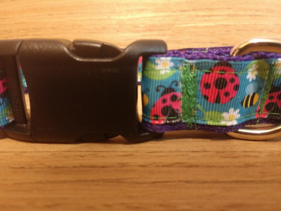 Large & Medium Size Lady Bug Collars and Leash