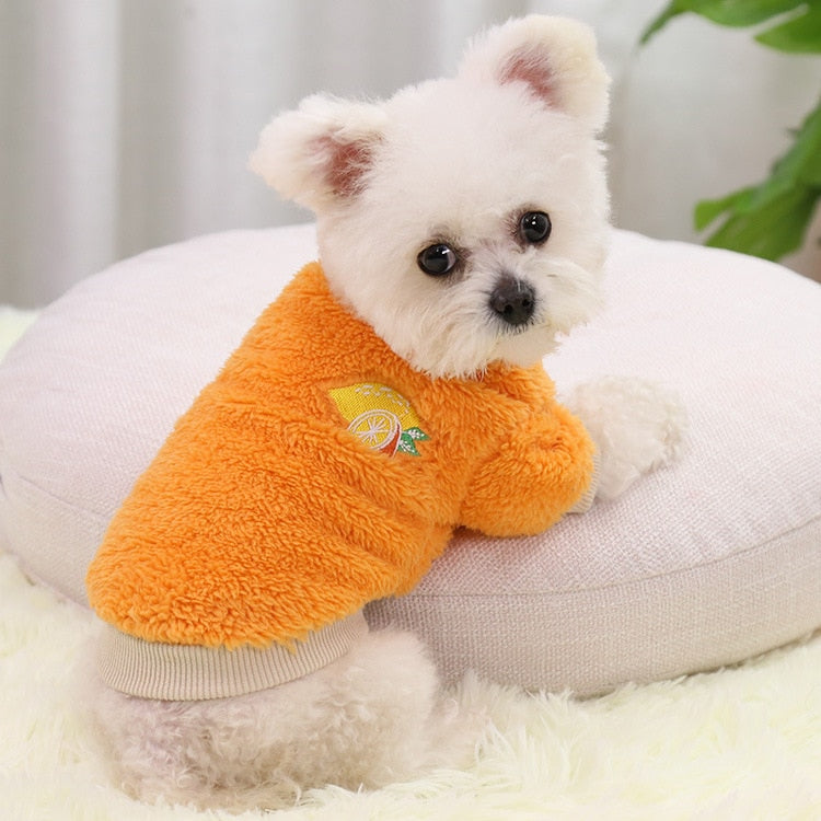 Pet Dog Clothes For Small Dogs Clothing Warm Clothing for Dogs Coat