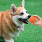 Pet Dog Toys Dog Ball Dog Bouncy Rubber Solid Ball Resistance To Dog