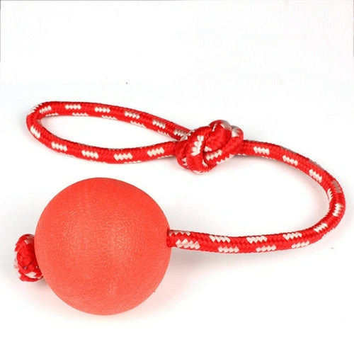 Pet Dog Toys Dog Ball Dog Bouncy Rubber Solid Ball Resistance To Dog