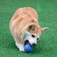 Pet Dog Toys Dog Ball Dog Bouncy Rubber Solid Ball Resistance To Dog