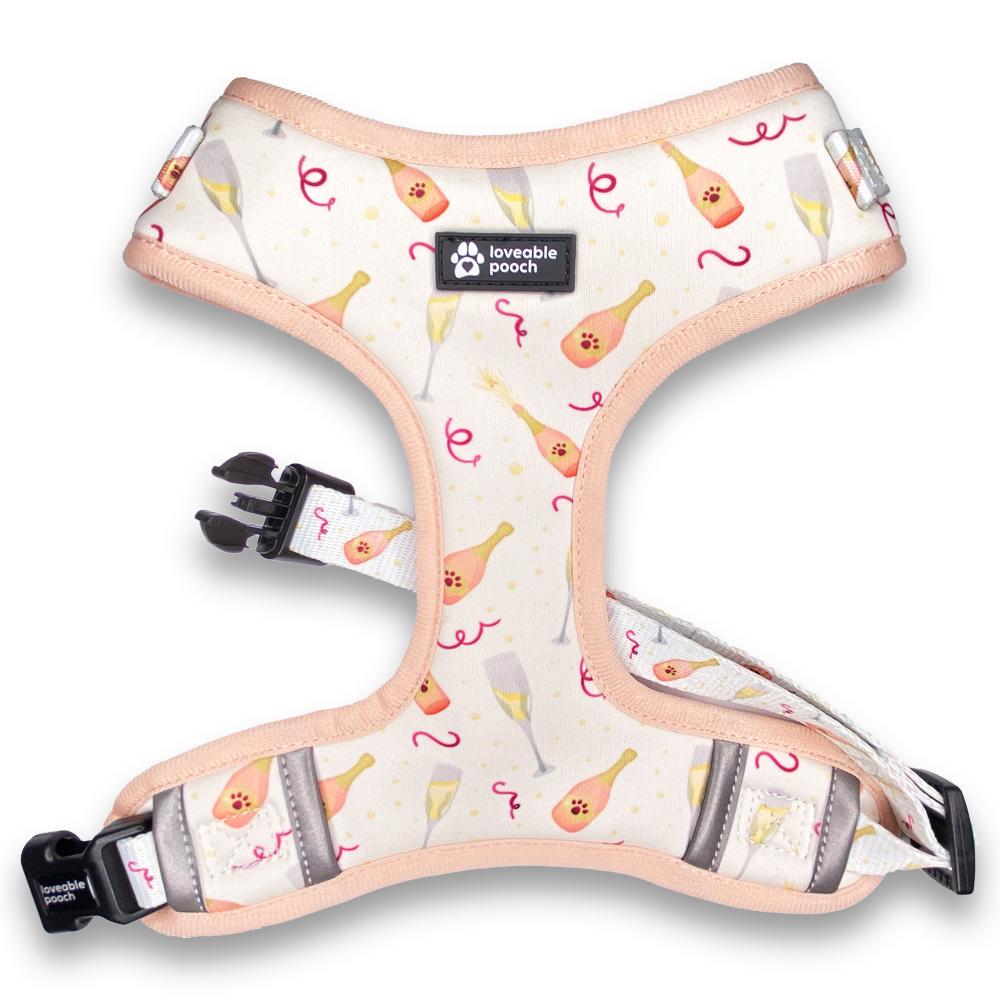 Rosé All Day Dog Harness and Leash Set