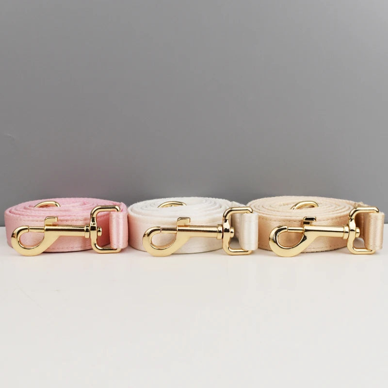 Luxury Personalized Pet Collar & Leash set