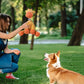 Corduroy Plush Chew Toy For Dogs