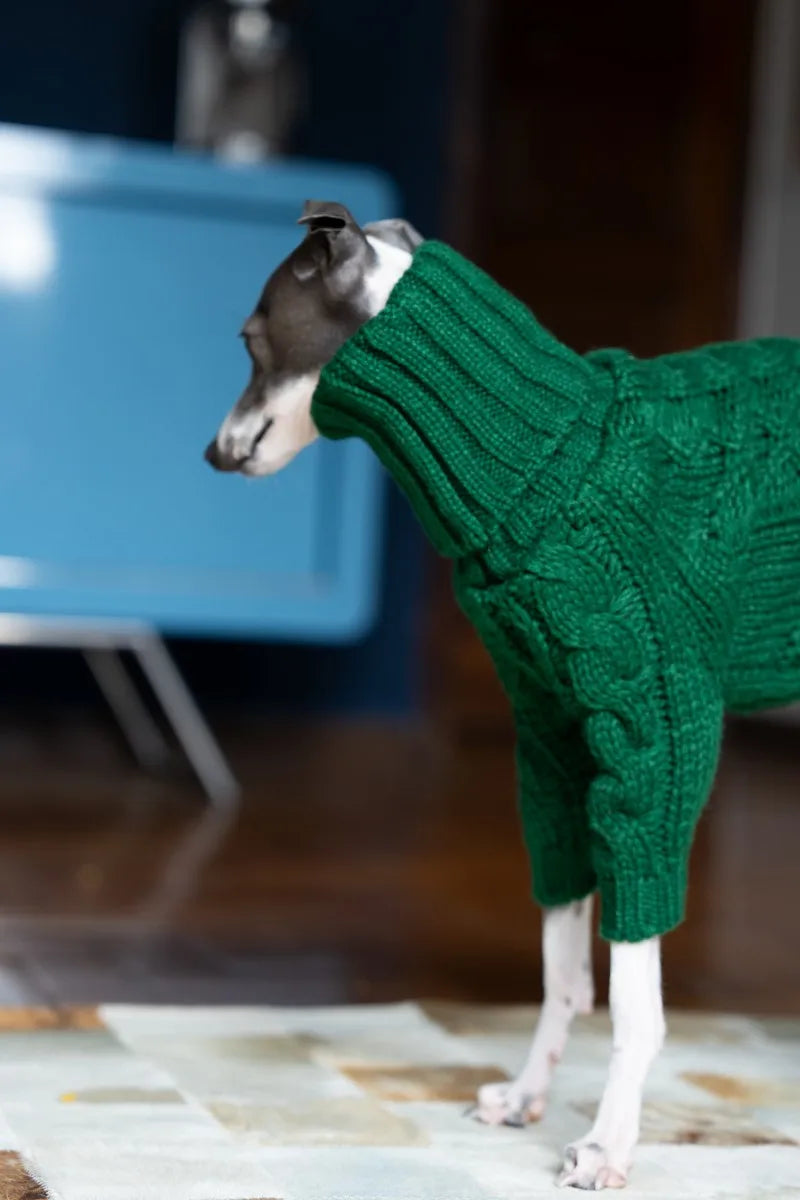 Green turtleneck thickened pet sweater