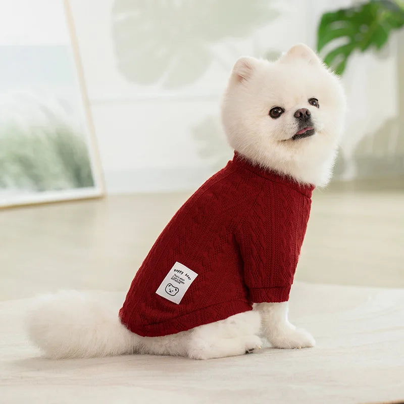 Warm Sweaters for Autumn and Winter